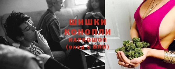 прущий лед Пересвет