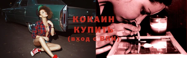 индика Абдулино