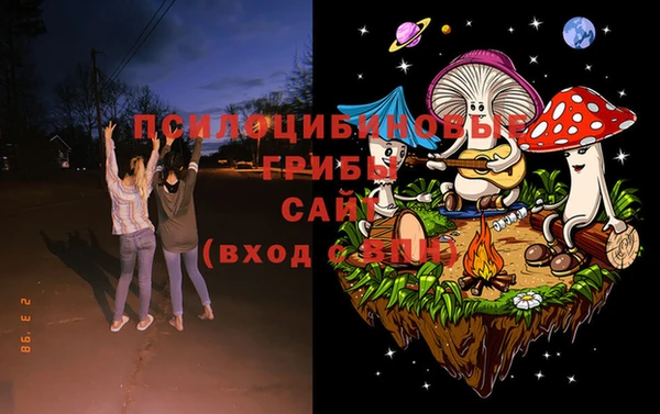 прущий лед Пересвет