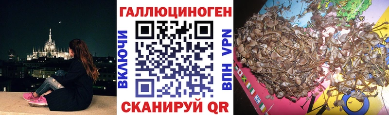 Псилоцибиновые грибы мухоморы  Александровск 